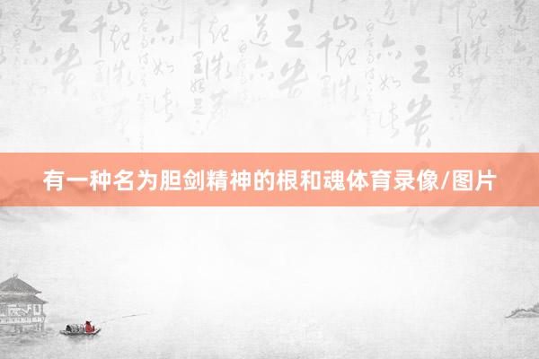 有一种名为胆剑精神的根和魂体育录像/图片