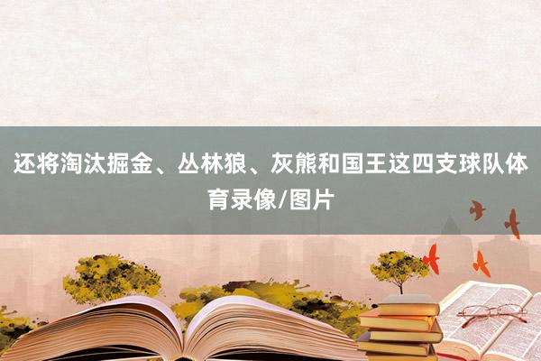还将淘汰掘金、丛林狼、灰熊和国王这四支球队体育录像/图片