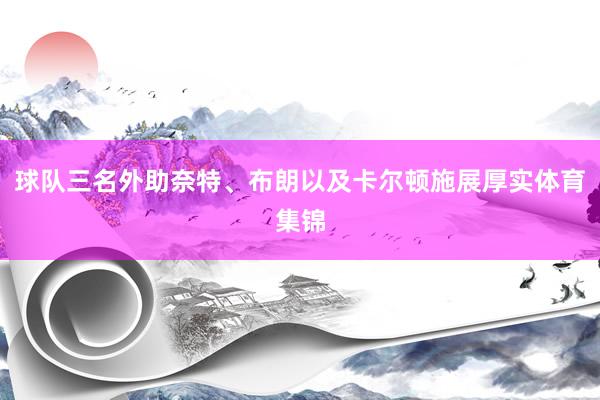 球队三名外助奈特、布朗以及卡尔顿施展厚实体育集锦