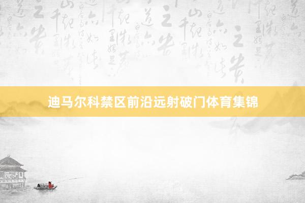 迪马尔科禁区前沿远射破门体育集锦