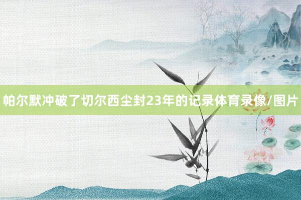帕尔默冲破了切尔西尘封23年的记录体育录像/图片