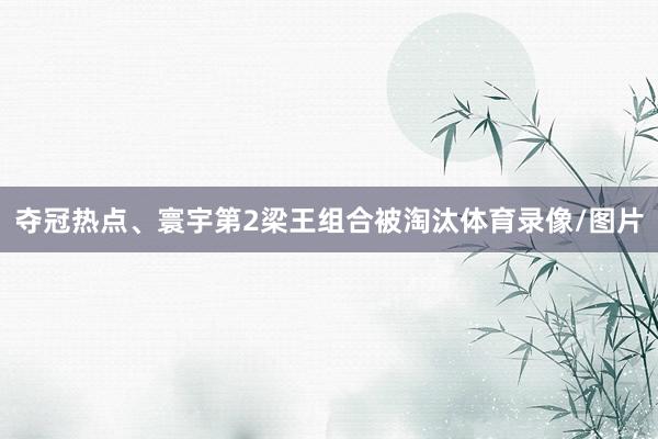 夺冠热点、寰宇第2梁王组合被淘汰体育录像/图片
