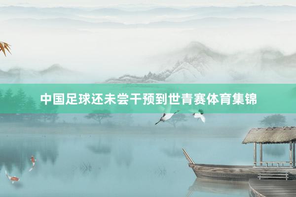 中国足球还未尝干预到世青赛体育集锦