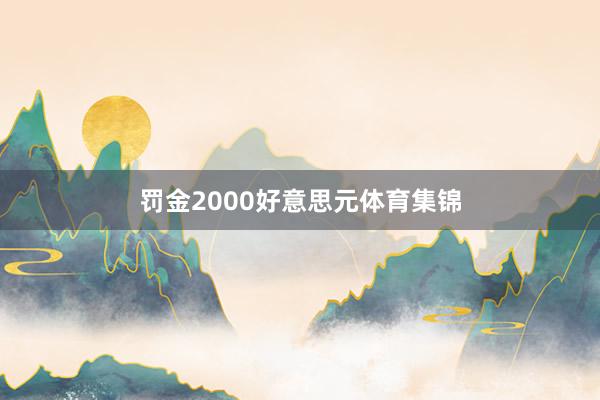 罚金2000好意思元体育集锦