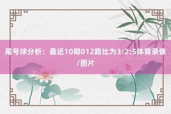 尾号球分析：最近10期012路比为3:2:5体育录像/图片
