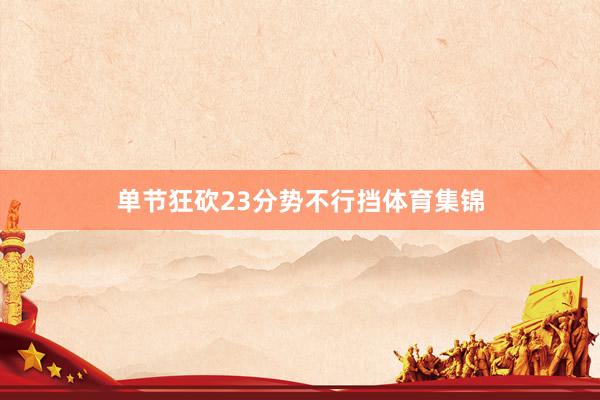 单节狂砍23分势不行挡体育集锦