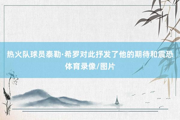 热火队球员泰勒·希罗对此抒发了他的期待和震恐体育录像/图片