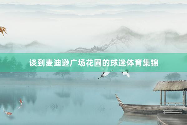 谈到麦迪逊广场花圃的球迷体育集锦