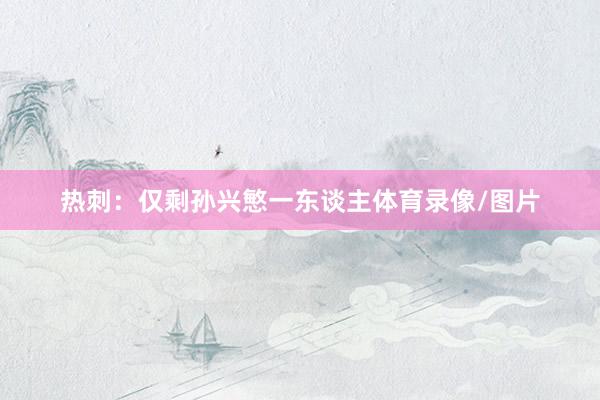 热刺：仅剩孙兴慜一东谈主体育录像/图片