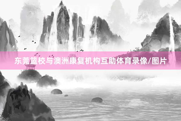 东莞篮校与澳洲康复机构互助体育录像/图片