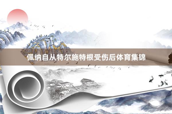 佩纳自从特尔施特根受伤后体育集锦