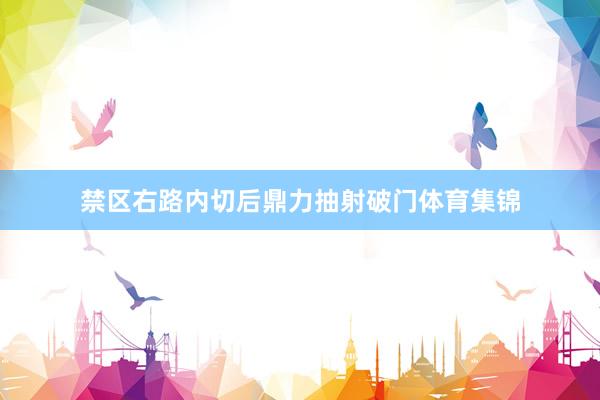 禁区右路内切后鼎力抽射破门体育集锦
