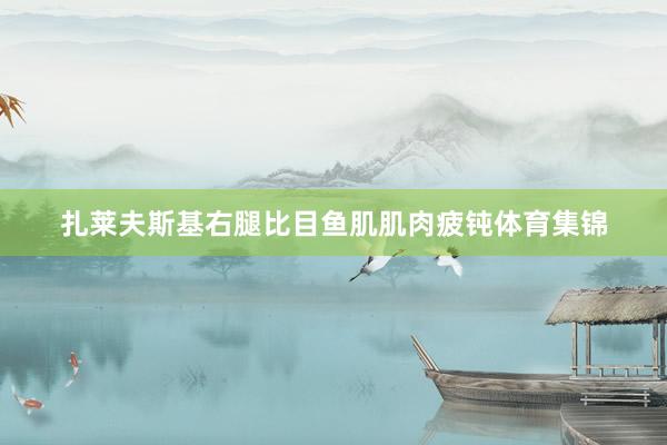 扎莱夫斯基右腿比目鱼肌肌肉疲钝体育集锦