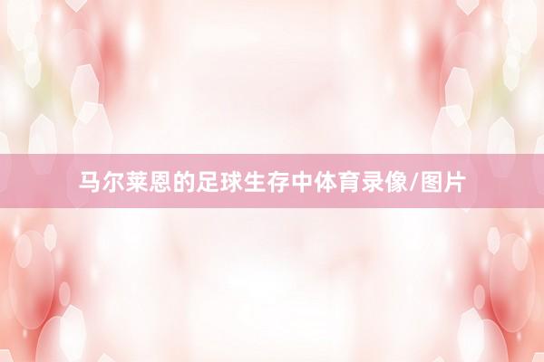 马尔莱恩的足球生存中体育录像/图片