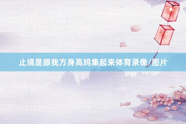 止境是跟我方身高鸠集起来体育录像/图片