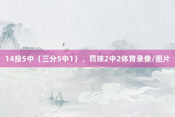 14投5中（三分5中1）、罚球2中2体育录像/图片