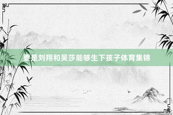 要是刘翔和吴莎能够生下孩子体育集锦