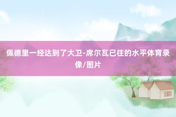 佩德里一经达到了大卫-席尔瓦已往的水平体育录像/图片