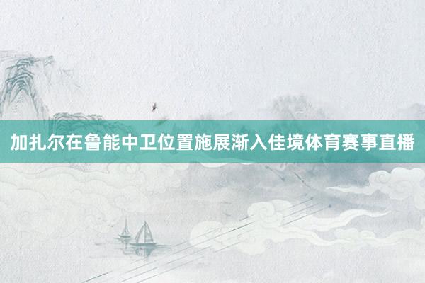 加扎尔在鲁能中卫位置施展渐入佳境体育赛事直播