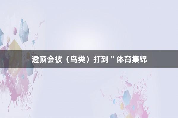透顶会被（鸟粪）打到＂体育集锦