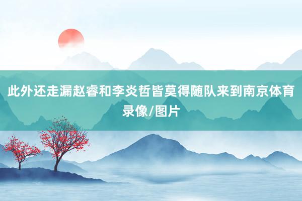 此外还走漏赵睿和李炎哲皆莫得随队来到南京体育录像/图片