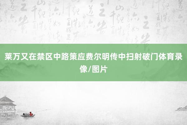 莱万又在禁区中路策应费尔明传中扫射破门体育录像/图片