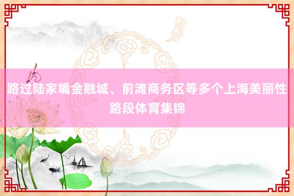 路过陆家嘴金融城、前滩商务区等多个上海美丽性路段体育集锦