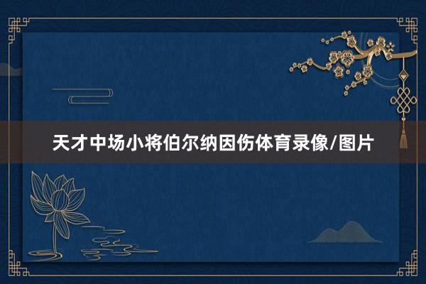 天才中场小将伯尔纳因伤体育录像/图片
