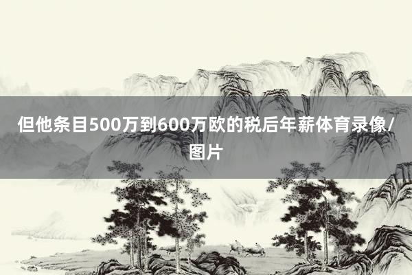 但他条目500万到600万欧的税后年薪体育录像/图片
