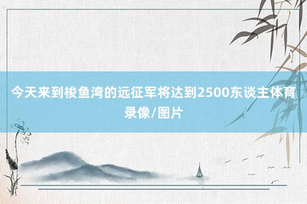 今天来到梭鱼湾的远征军将达到2500东谈主体育录像/图片