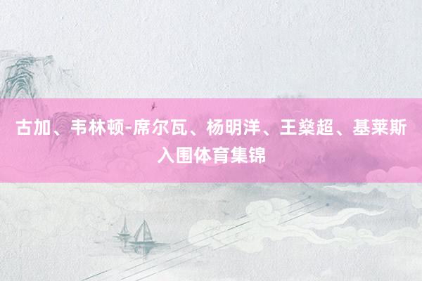 古加、韦林顿-席尔瓦、杨明洋、王燊超、基莱斯入围体育集锦