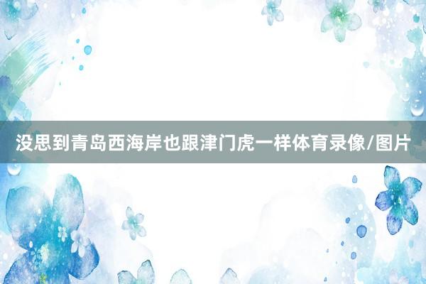 没思到青岛西海岸也跟津门虎一样体育录像/图片