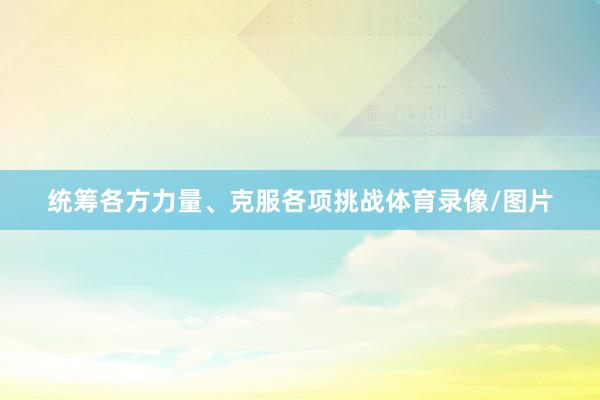 统筹各方力量、克服各项挑战体育录像/图片
