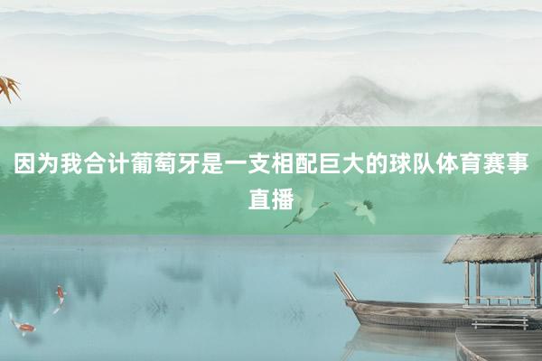 因为我合计葡萄牙是一支相配巨大的球队体育赛事直播