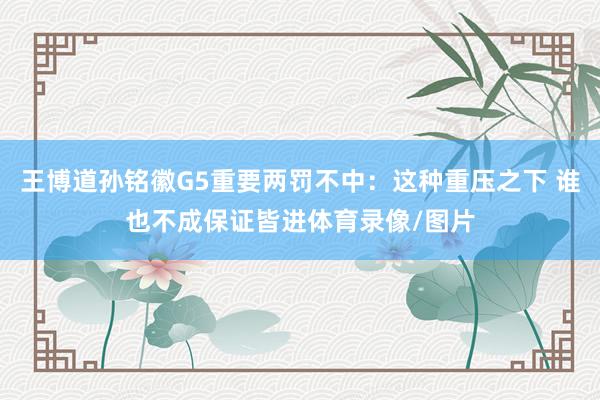 王博道孙铭徽G5重要两罚不中：这种重压之下 谁也不成保证皆进体育录像/图片