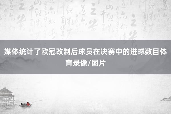 媒体统计了欧冠改制后球员在决赛中的进球数目体育录像/图片