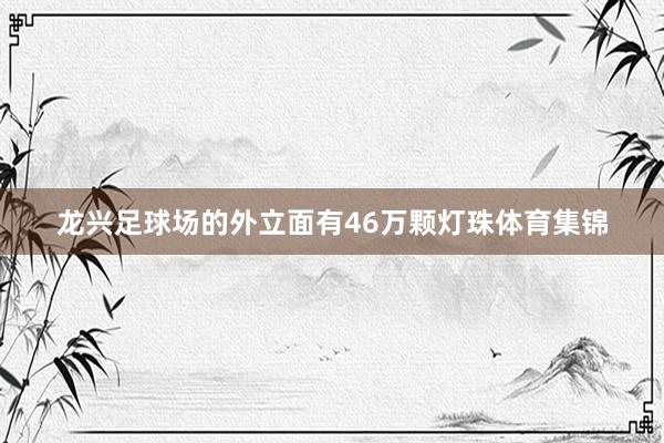 龙兴足球场的外立面有46万颗灯珠体育集锦