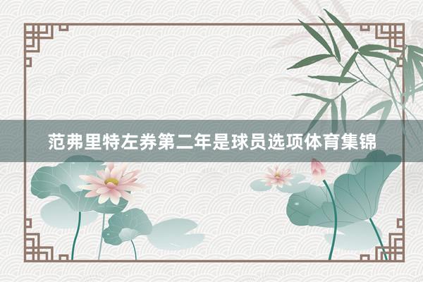 范弗里特左券第二年是球员选项体育集锦
