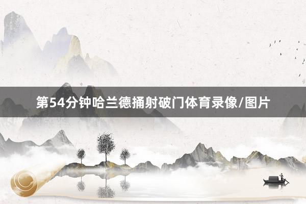 第54分钟哈兰德捅射破门体育录像/图片