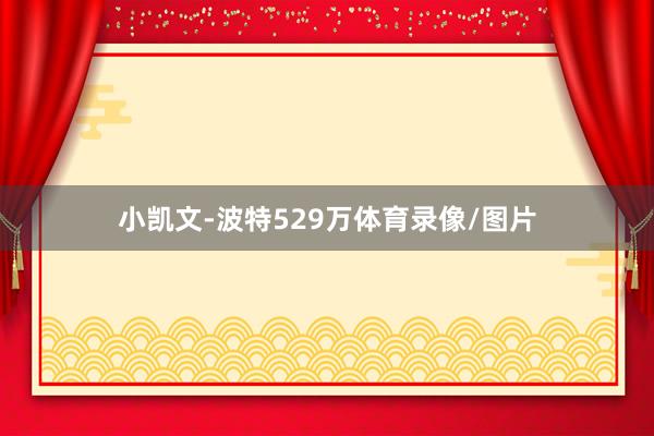 小凯文-波特529万体育录像/图片