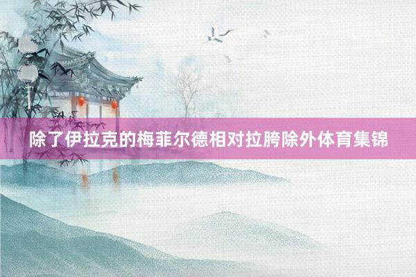 除了伊拉克的梅菲尔德相对拉胯除外体育集锦