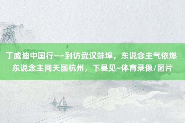 丁威迪中国行——到访武汉蚌埠，东说念主气依燃 东说念主间天国杭州，下昼见~体育录像/图片