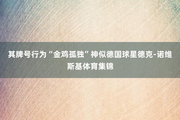 其牌号行为“金鸡孤独”神似德国球星德克-诺维斯基体育集锦
