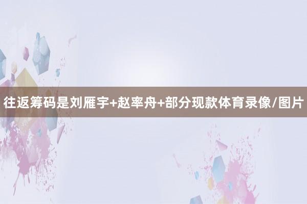往返筹码是刘雁宇+赵率舟+部分现款体育录像/图片