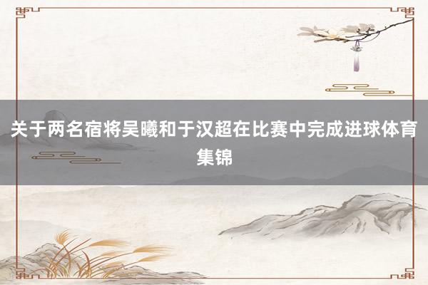 关于两名宿将吴曦和于汉超在比赛中完成进球体育集锦