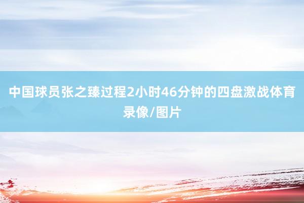 中国球员张之臻过程2小时46分钟的四盘激战体育录像/图片