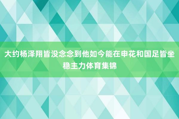 大约杨泽翔皆没念念到他如今能在申花和国足皆坐稳主力体育集锦