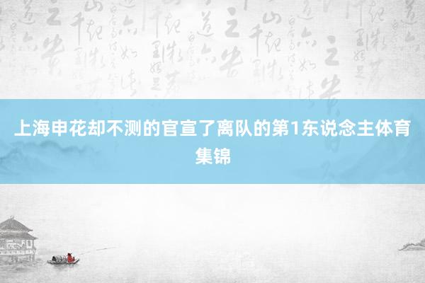 上海申花却不测的官宣了离队的第1东说念主体育集锦