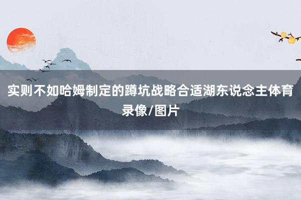 实则不如哈姆制定的蹲坑战略合适湖东说念主体育录像/图片