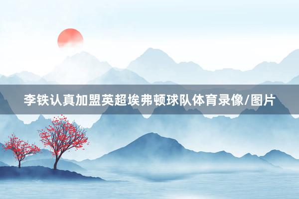 李铁认真加盟英超埃弗顿球队体育录像/图片